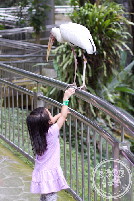 KL Bird Park - Crane?